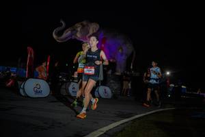 BIB: 
                            <button type="button" onclick="openModal(26551791)" class="btn btn-primary btn-sm float-right btn-popup" data-toggle="modal" data-target=".modal-high-quality">
                        <i class="fas fa-shopping-cart"></i> Add to Cart
                    </button>
                                            <button type="button" onclick="isThisMe(26551791, true)" class="btn btn-success btn-sm float-right btn-popup btn-isme hidden" data-toggle="tooltip" data-placement="bottom" title="นี่คือรูปของคุณใช่ไหม คลิกที่นี่เพื่อเอาเข้าอัลบั้ม">
                        <i class="fas fa-plus"></i> Add to album
                    </button>
                    <button type="button" onclick="isThisMe(26551791, false)" class="btn btn-warning btn-sm float-right btn-popup btn-isnotme hidden">
                        <i class="fas fa-ban"></i> Remove from album
                    </button>